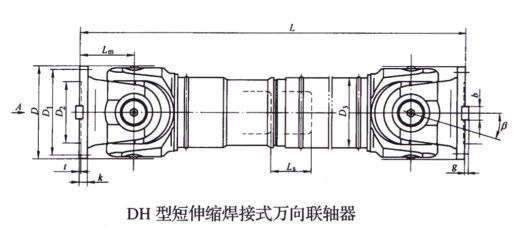 DH型短伸缩焊接式万向草莓视频性福宝